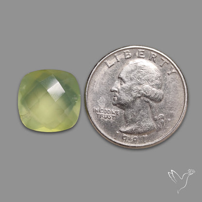 Checkerboard Cut Prehnite