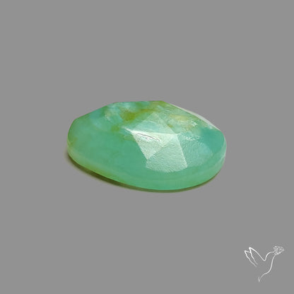 Rose Cut Gemmy Chrysoprase
