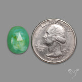 Rose Cut Gemmy Chrysoprase