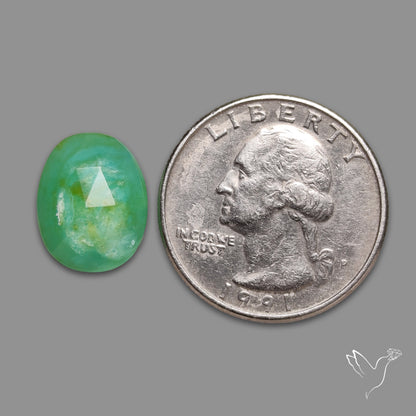 Rose Cut Gemmy Chrysoprase