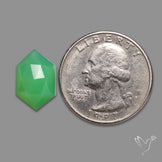 Rose Cut Gemmy Chrysoprase