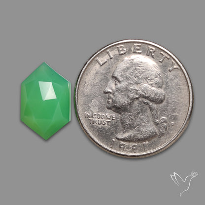 Rose Cut Gemmy Chrysoprase