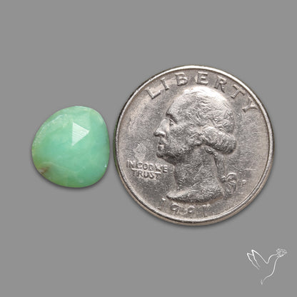Rose Cut Gemmy Chrysoprase