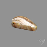 Crazylace Agate