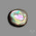 Abalone Shell
