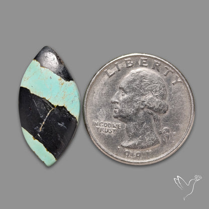 Blackjack Turquoise Cabochon