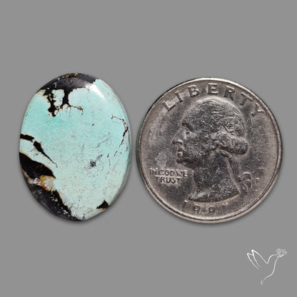 Blackjack Turquoise Cabochon