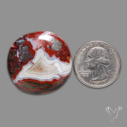 Crazylace Agate With Druzy Pocket