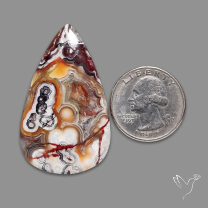 Crazylace Agate With Druzy Pocket