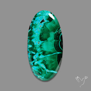 Chrysocolla In Malachite Cabochon