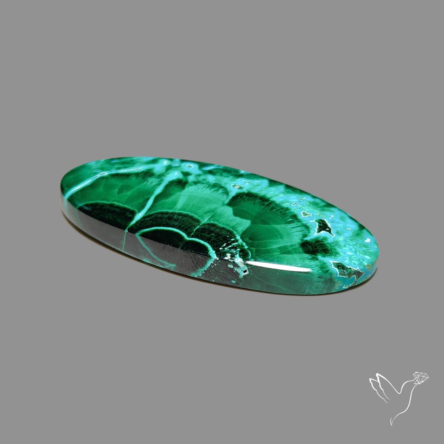 Chrysocolla In Malachite Cabochon