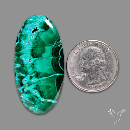 Chrysocolla In Malachite Cabochon