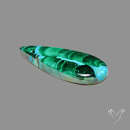 Chrysocolla In Malachite Cabochon