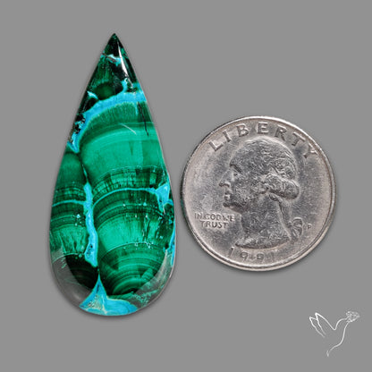 Chrysocolla In Malachite Cabochon