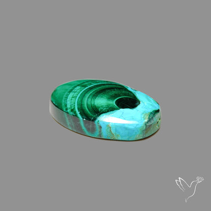Chrysocolla In Malachite Cabochon