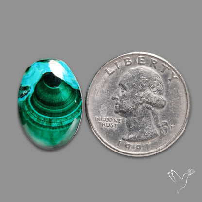 Chrysocolla In Malachite Cabochon