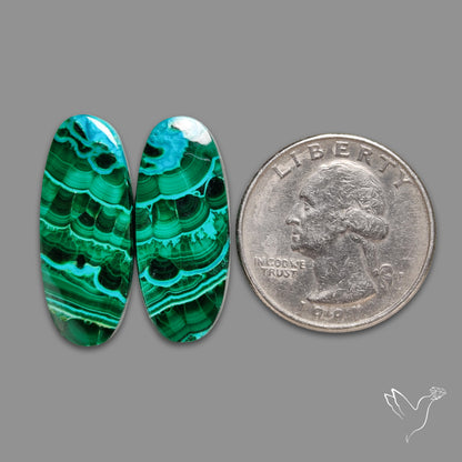 Chrysocolla In Malachite Pair