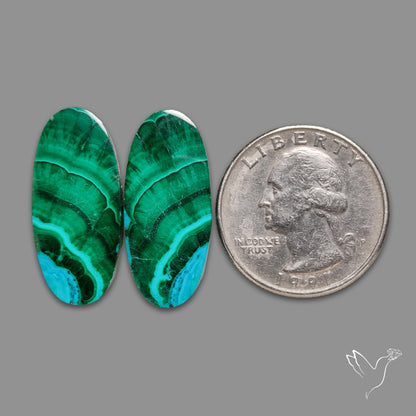 Chrysocolla In Malachite Pair