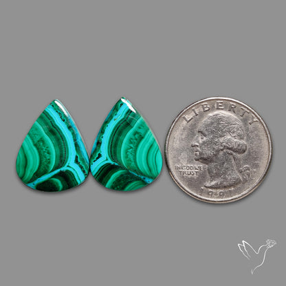 Chrysocolla In Malachite Pair