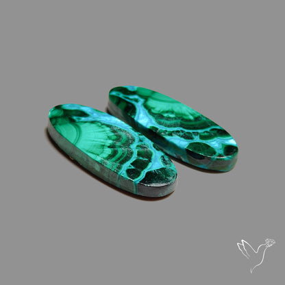 Chrysocolla In Malachite Pair