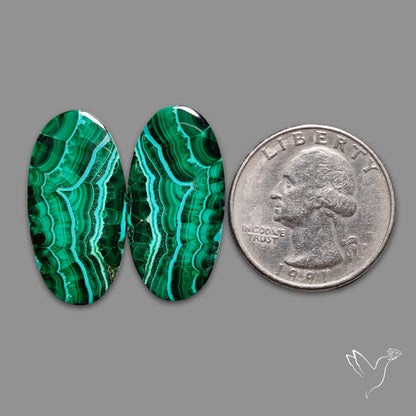 Chrysocolla In Malachite Pair