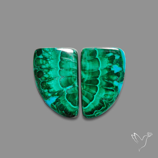 Chrysocolla In Malachite Pair