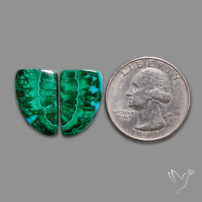 Chrysocolla In Malachite Pair
