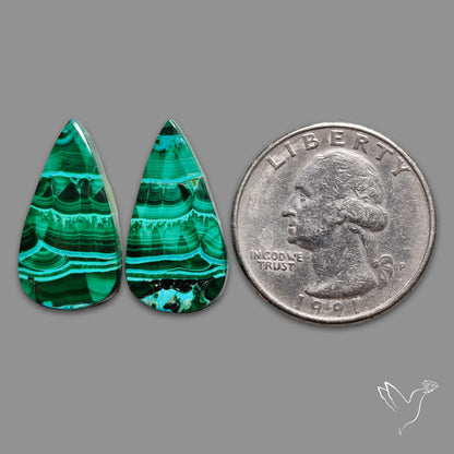 Chrysocolla In Malachite Pair