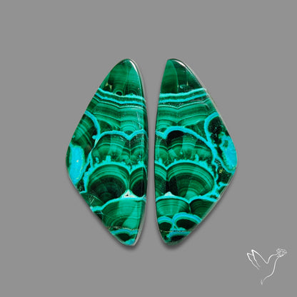 Chrysocolla In Malachite Pair