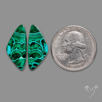 Chrysocolla In Malachite Pair