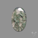 Horse Canyon Moss Agate Cabochon
