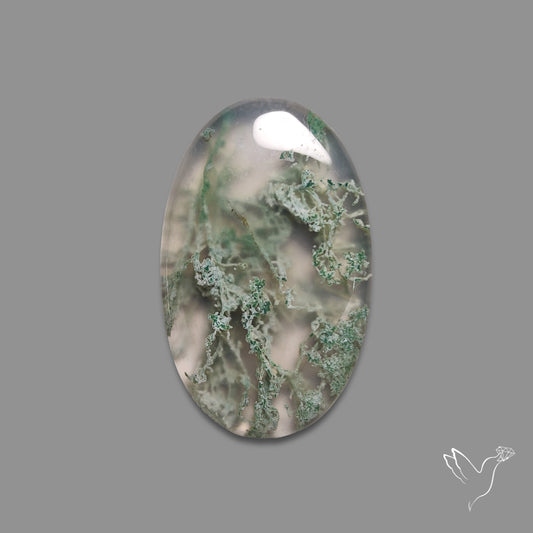 Horse Canyon Moss Agate Cabochon
