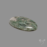 Horse Canyon Moss Agate Cabochon