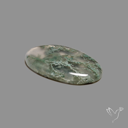 Horse Canyon Moss Agate Cabochon
