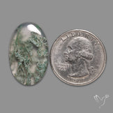 Horse Canyon Moss Agate Cabochon