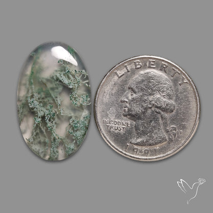 Horse Canyon Moss Agate Cabochon