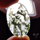 Horse Canyon Moss Agate Cabochon