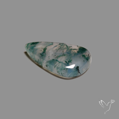 Horse Canyon Moss Agate Cabochon