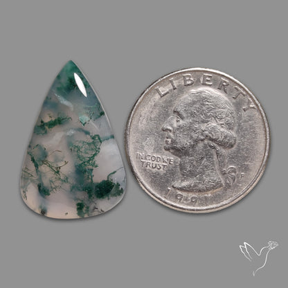 Horse Canyon Moss Agate Cabochon