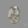 Horse Canyon Moss Agate Cabochon