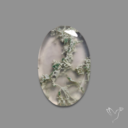 Horse Canyon Moss Agate Cabochon