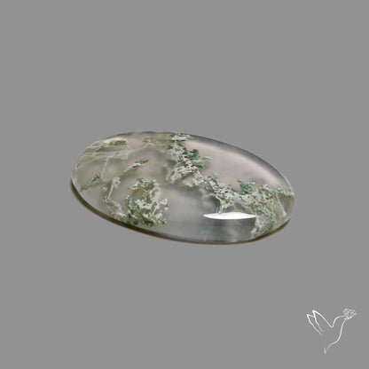 Horse Canyon Moss Agate Cabochon