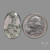 Horse Canyon Moss Agate Cabochon