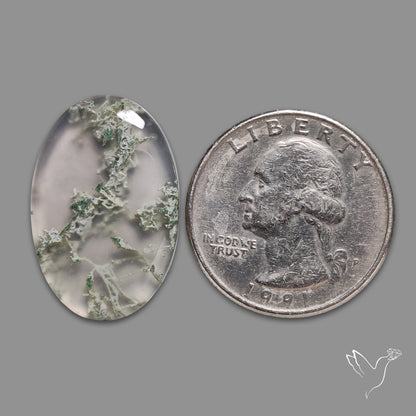 Horse Canyon Moss Agate Cabochon