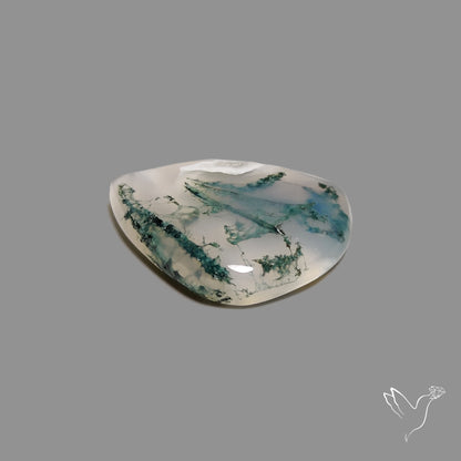 Horse Canyon Moss Agate Cabochon