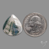 Horse Canyon Moss Agate Cabochon