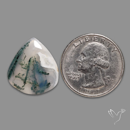 Horse Canyon Moss Agate Cabochon