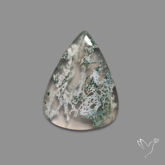 Horse Canyon Moss Agate Cabochon