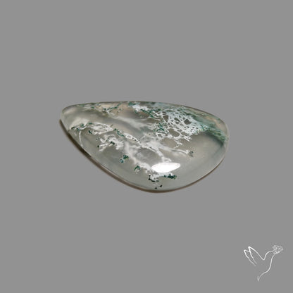 Horse Canyon Moss Agate Cabochon