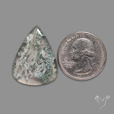 Horse Canyon Moss Agate Cabochon